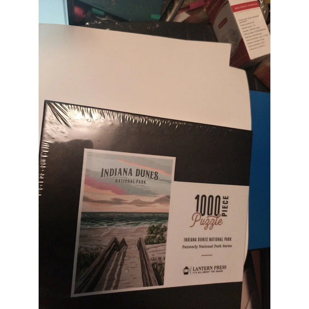 Lantern Press 1000 Piece Jigsaw Puzzle Indiana Dunes National Park Sealed